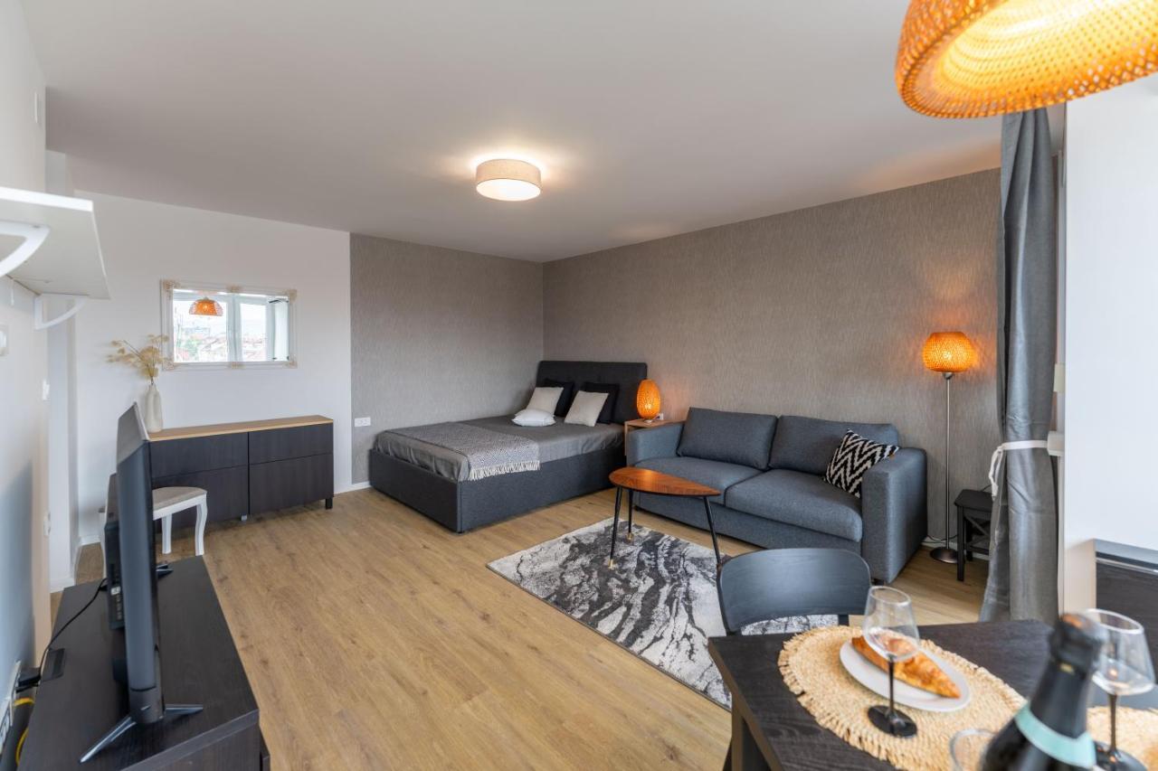 Elegant Tour As Studio Gilly With Open Views And A Balcony In The Center Любляна Экстерьер фото